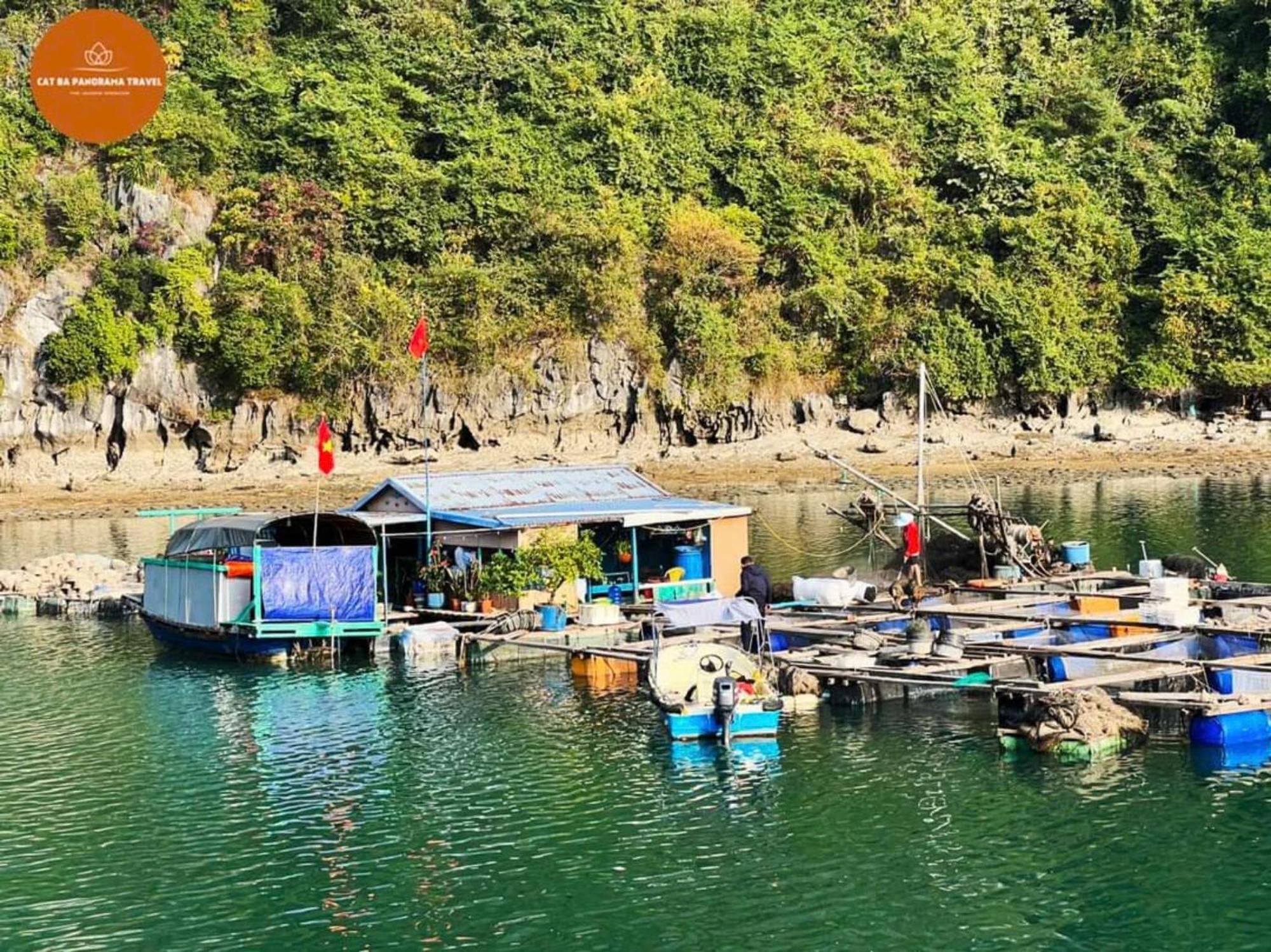 Napoli Hostel Chan Chau Экстерьер фото